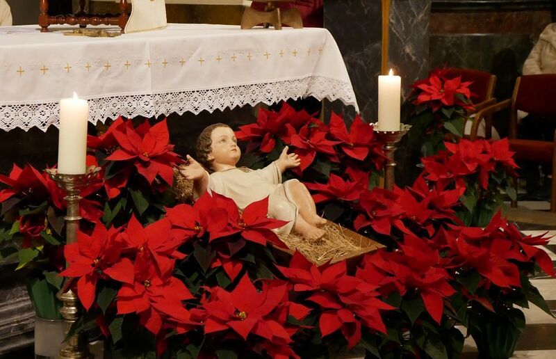 Foto: Emilia Moshammer